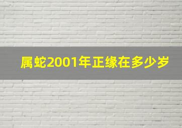 属蛇2001年正缘在多少岁