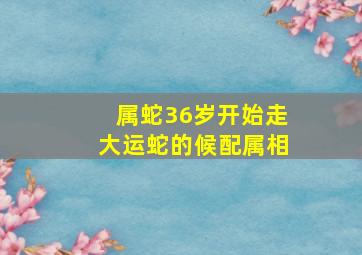 属蛇36岁开始走大运蛇的候配属相