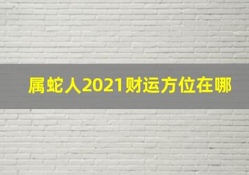 属蛇人2021财运方位在哪