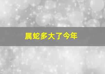 属蛇多大了今年