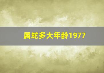 属蛇多大年龄1977