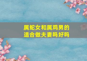 属蛇女和属鸡男的适合做夫妻吗好吗