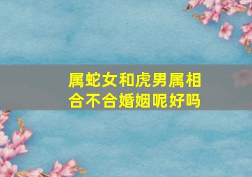 属蛇女和虎男属相合不合婚姻呢好吗