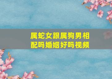 属蛇女跟属狗男相配吗婚姻好吗视频