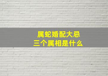 属蛇婚配大忌三个属相是什么