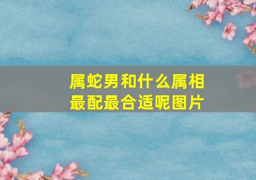 属蛇男和什么属相最配最合适呢图片