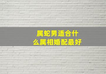 属蛇男适合什么属相婚配最好