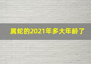 属蛇的2021年多大年龄了