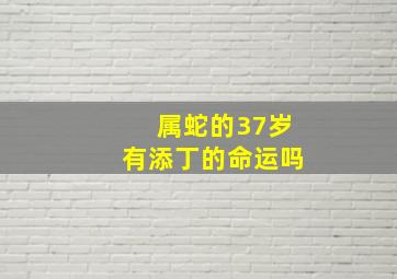 属蛇的37岁有添丁的命运吗