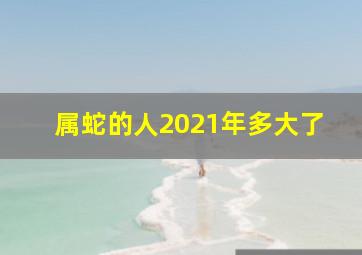 属蛇的人2021年多大了