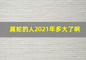 属蛇的人2021年多大了啊