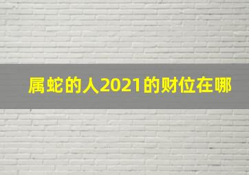 属蛇的人2021的财位在哪