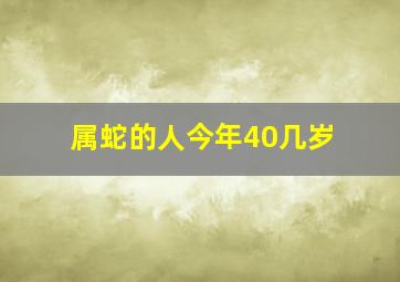 属蛇的人今年40几岁