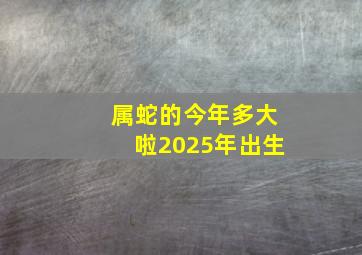 属蛇的今年多大啦2025年出生