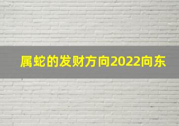 属蛇的发财方向2022向东