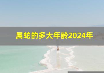 属蛇的多大年龄2024年