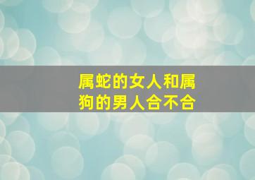 属蛇的女人和属狗的男人合不合