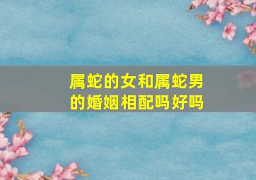 属蛇的女和属蛇男的婚姻相配吗好吗