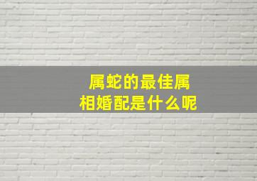 属蛇的最佳属相婚配是什么呢