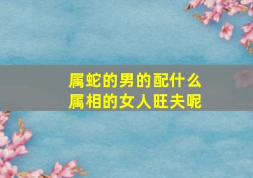 属蛇的男的配什么属相的女人旺夫呢