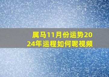 属马11月份运势2024年运程如何呢视频