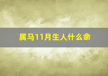 属马11月生人什么命