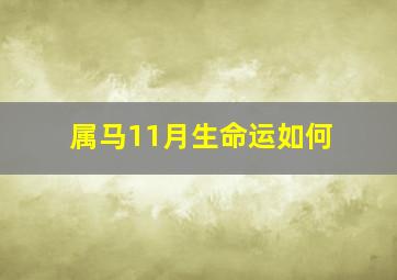 属马11月生命运如何