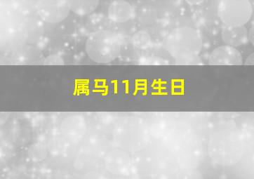 属马11月生日