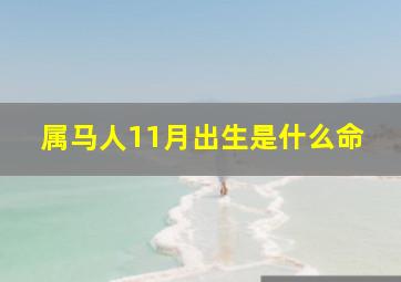 属马人11月出生是什么命