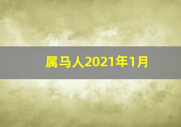 属马人2021年1月