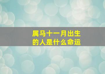 属马十一月出生的人是什么命运