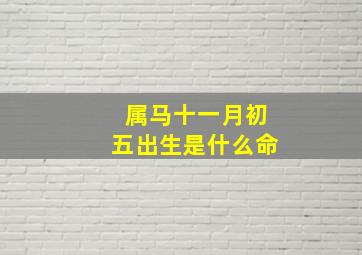 属马十一月初五出生是什么命