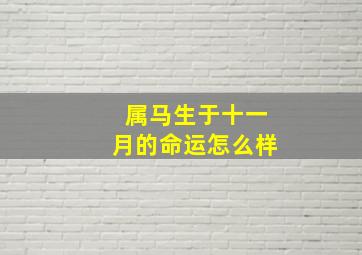 属马生于十一月的命运怎么样