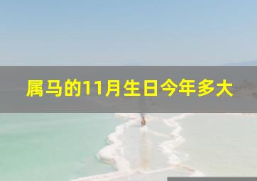 属马的11月生日今年多大