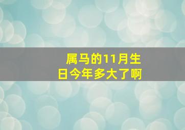 属马的11月生日今年多大了啊