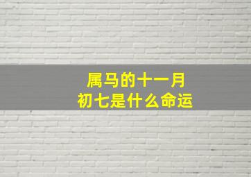 属马的十一月初七是什么命运