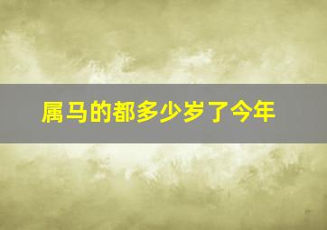 属马的都多少岁了今年