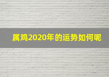 属鸡2020年的运势如何呢