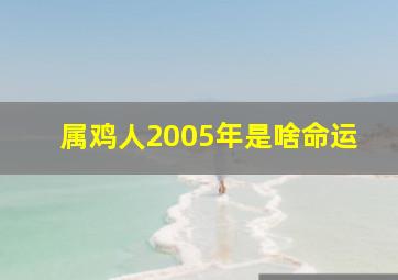 属鸡人2005年是啥命运