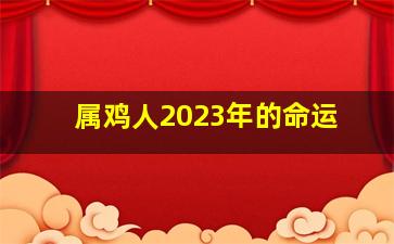 属鸡人2023年的命运