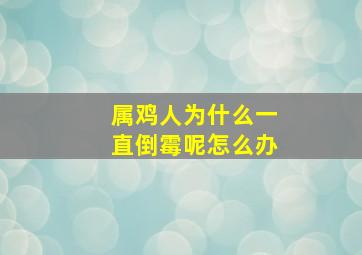 属鸡人为什么一直倒霉呢怎么办