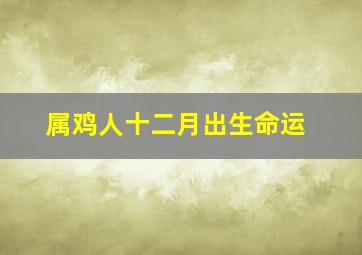 属鸡人十二月出生命运