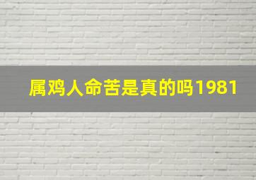 属鸡人命苦是真的吗1981