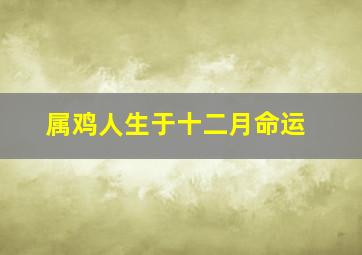 属鸡人生于十二月命运