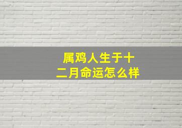 属鸡人生于十二月命运怎么样