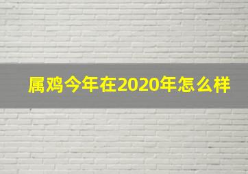 属鸡今年在2020年怎么样