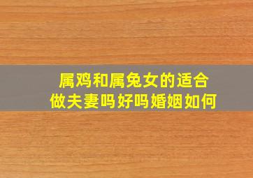 属鸡和属兔女的适合做夫妻吗好吗婚姻如何