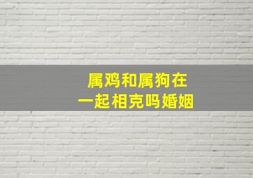 属鸡和属狗在一起相克吗婚姻