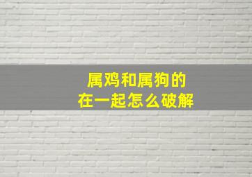 属鸡和属狗的在一起怎么破解