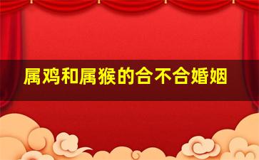 属鸡和属猴的合不合婚姻